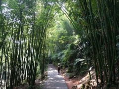 -四洞沟景区