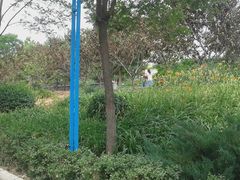 -荆轲塔