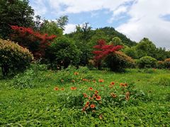 -贵阳市花溪国家城市湿地公园