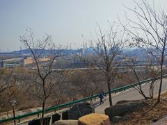 -白水寺森林公园