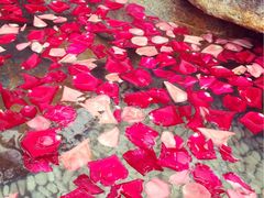 -厦门日月谷温泉渡假村