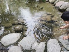-成飞公园
