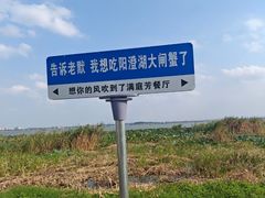 -莲花岛景区