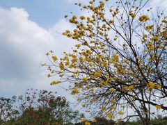 -天鹿湖森林公园