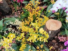 -国家植物园南园