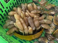 -崖口红树林海鲜餐厅