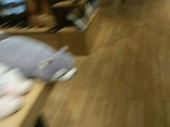 -九木杂物社(恒隆广场店)