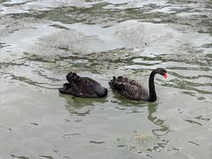 -东钱湖小普陀景区
