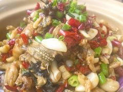 -张氏父子常德肠子馆(红星总店)