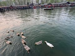 -恋乡太行水镇