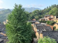 -杨家堂村