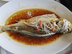 普通大黄鱼-味友·厦门味(集美店)