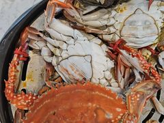 -半岛听涛蒸汽海鲜自助(K11店)