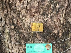 -澳门圣地牙哥古堡酒店