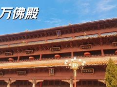 -柏林禅寺