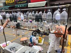 -中环花鸟鱼虫市场