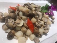 -梁溪河畔·吉府花园(南长街南下塘店)