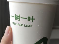 -一树一叶·福建茶档(石鼓路店)