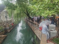 -乾芝斋·苏式糕点·碧螺春茶酥(平江路店)