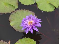 -国家植物园南园