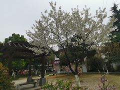-熙盛源(凤凰街店)