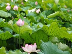 -丝绸小镇荻港古村