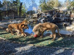 -北京野生动物园