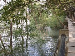 -大湾区中央湿地公园
