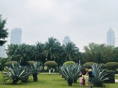 -万绿园