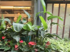 -大妙火锅·非物质文化遗产(东湖公园店)