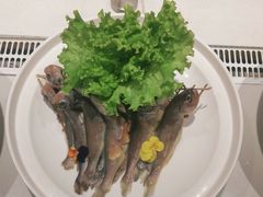 -鸽子侯·家宴·平价海鲜(市图书馆店)