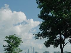 -海珠湖公园