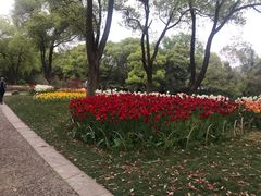 -无锡梅园公园