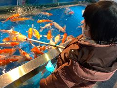 -大明湖海底世界