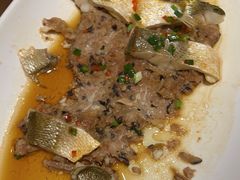 -锦粤宫·精致粤菜(深圳北站店)