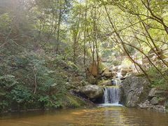 -青峰峡国家森林公园