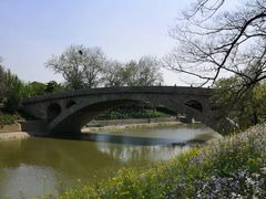 -赵州桥景区
