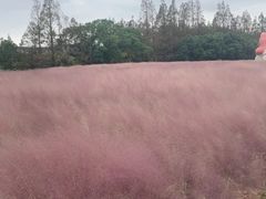 -嘉北郊野公园