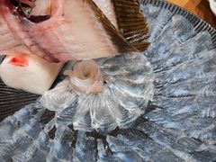 -桂马·日本料理·海胆·海鲜饭·酒场(民主广场店)