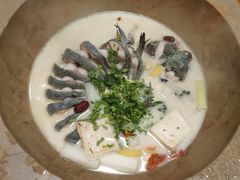 鮰鱼-云中鱼蒸汽石锅鱼(川沙百联店)