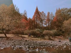 -武夷山风景名胜区-玉女峰