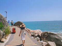 -广东惠东海龟国家级自然保护区