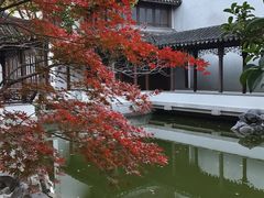 -秋霞圃