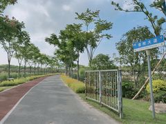 -上海长兴岛郊野公园