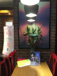 -时尚殿堂·颜SPA