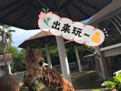 -清迈夜间动物园