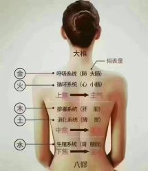 -名发世家烫染