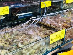 -四海之家(蛇口店)