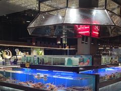 -阿伟海鲜楼·福建菜(延寿店)