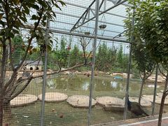 -河北村民俗体验园